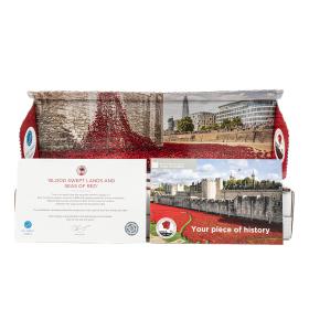 2014 Poppy From the Tower of London Installation