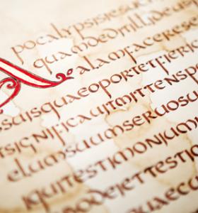 Magna Carta Lincoln