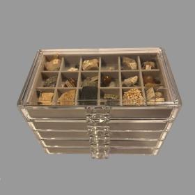 19th C Collector's Rock and Fossil Specimen Collection