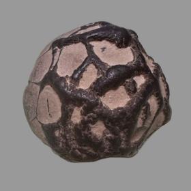 Septarian Nodule
